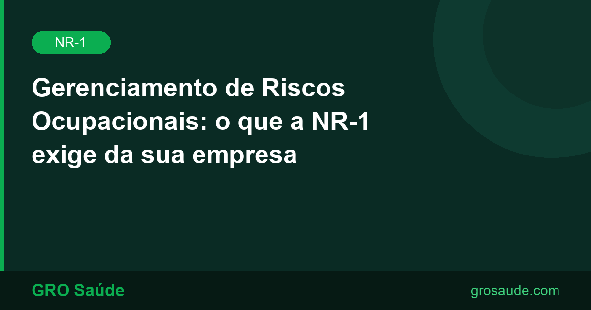 Gerenciamento de Riscos NR-1
